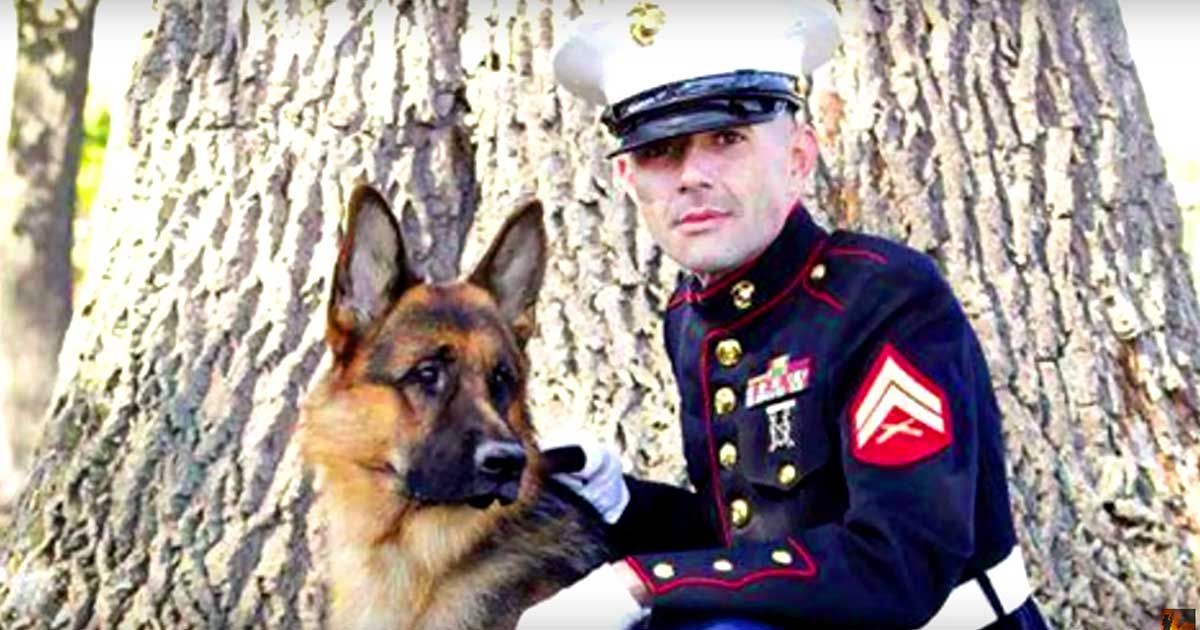 Veteran Starts Foundation To Help Other Vets Get Service Dogs At No