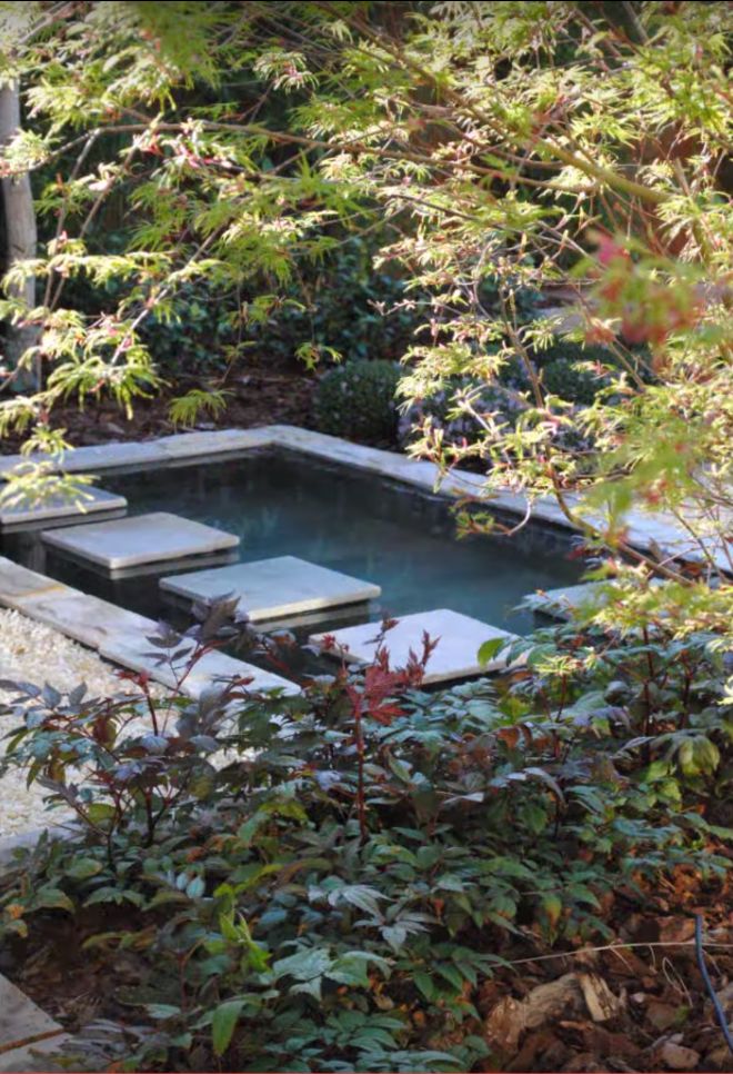 Soluciones para patios traseros y jardines: el paisajismo | SFG