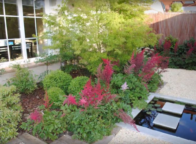 Soluciones para patios traseros y jardines: el paisajismo | SFG