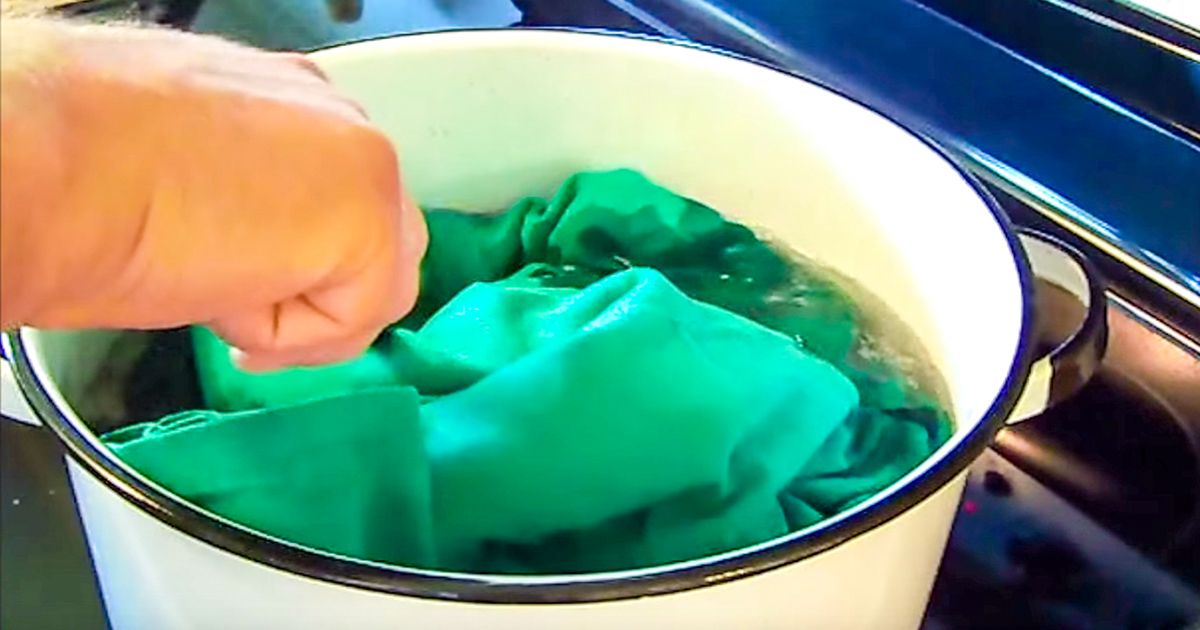 How To Kill Mildew In Clothes SF Globe