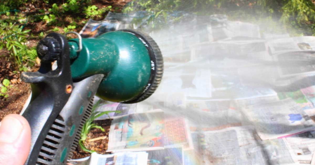Here's an effective and easy way to eliminate weeds from your garden