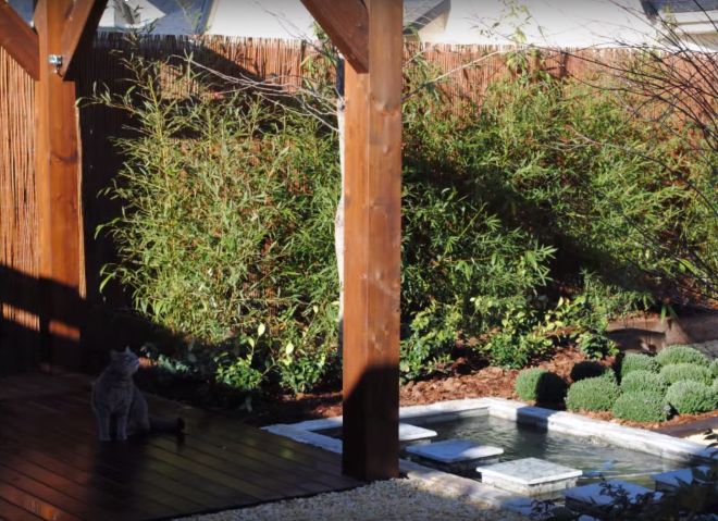 Soluciones para patios traseros y jardines: el paisajismo | SFG