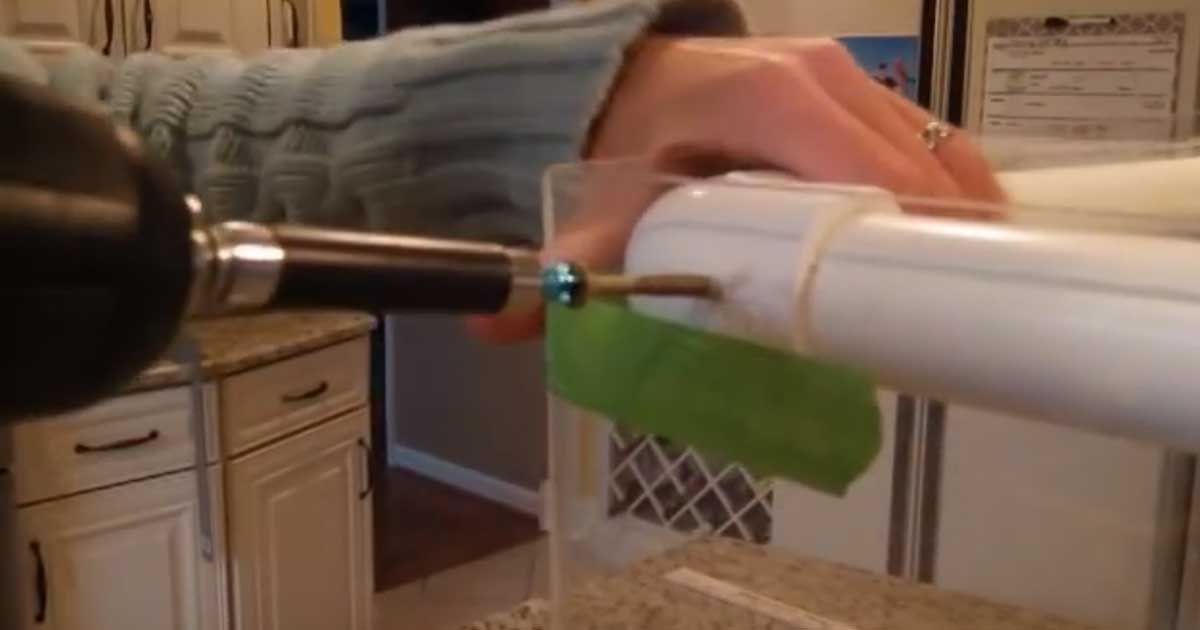 DIY Plans For Building A Cheap PVC And Plexiglass Greenhouse SF Globe