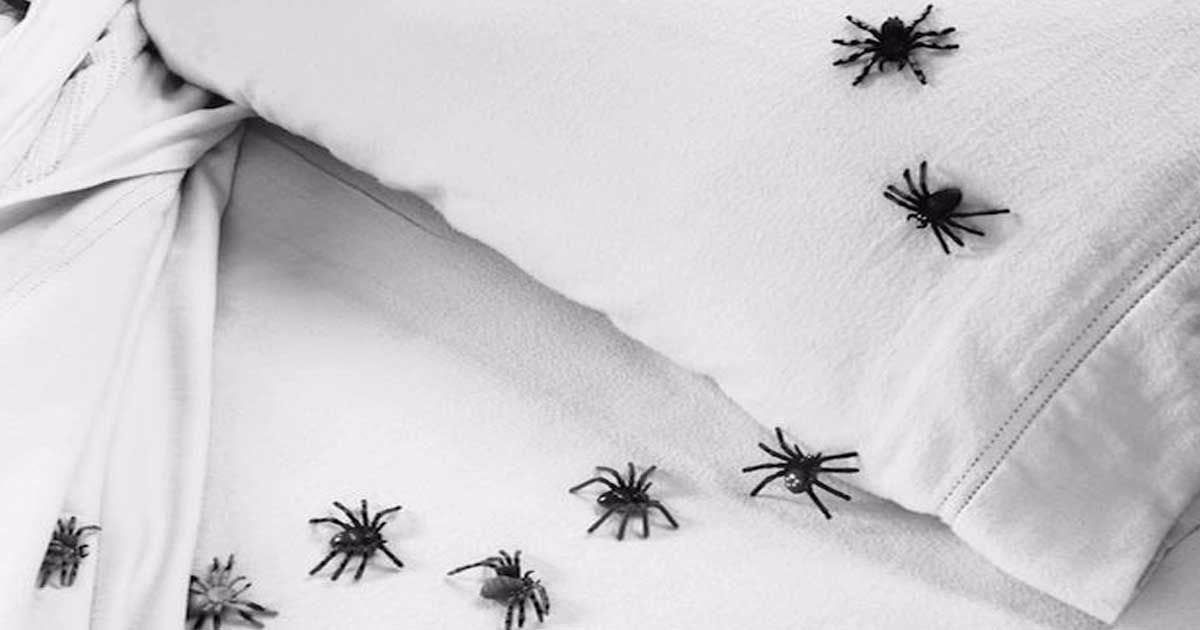 7 ways to keep spiders out of your bed