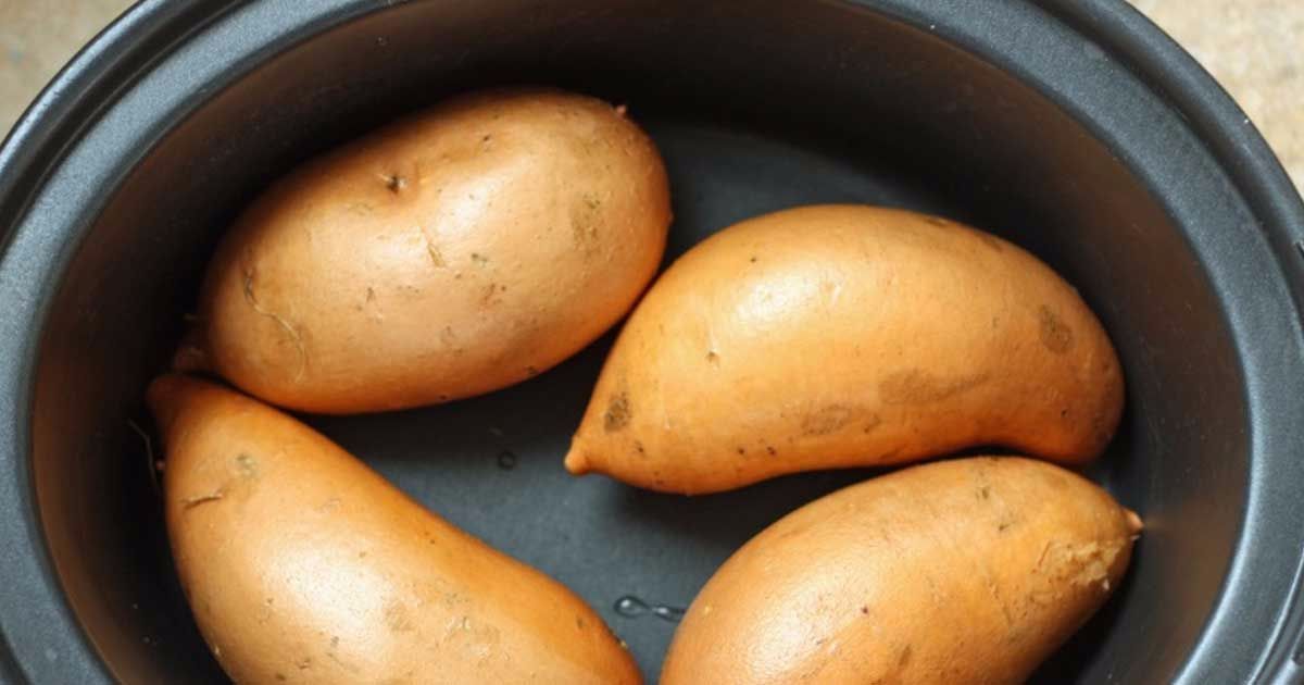 Лечение цветками и ростками картофеля, народные средства Рецепты настоек из цветков картофеля: свойства и применение