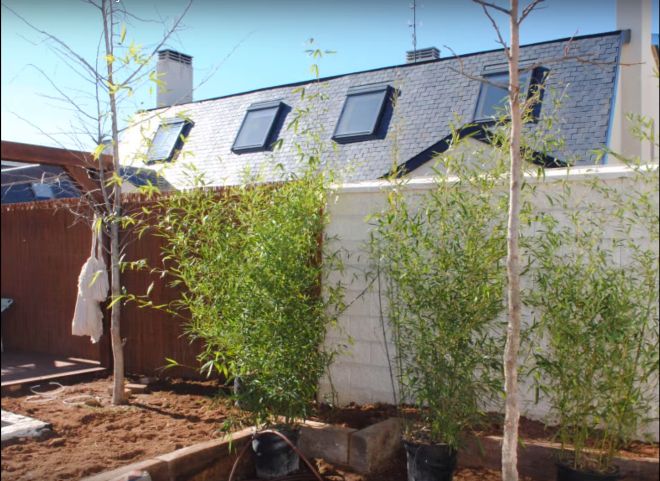 Soluciones para patios traseros y jardines: el paisajismo | SFG