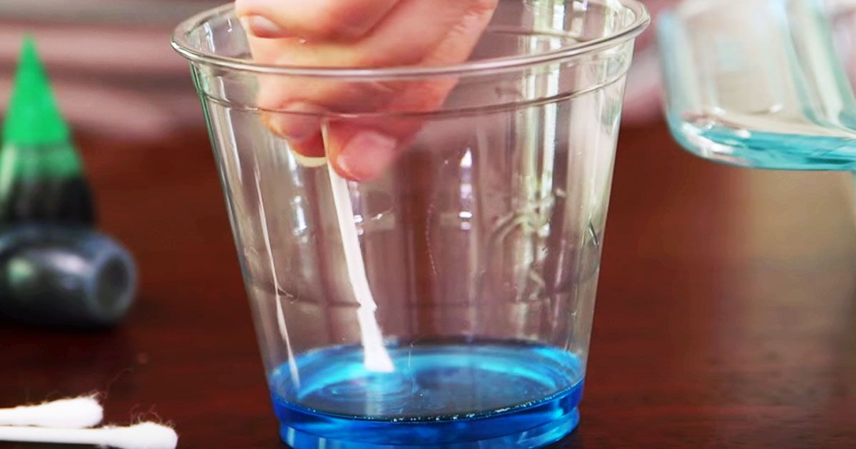 "What's Up Moms" Showcases 3 FamilyFriendly Science Experiments SF Globe