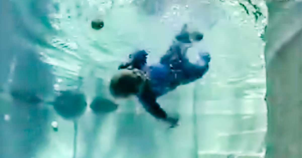 These Lessons Teach Infants How To Save Themselves From Drowning SF Globe