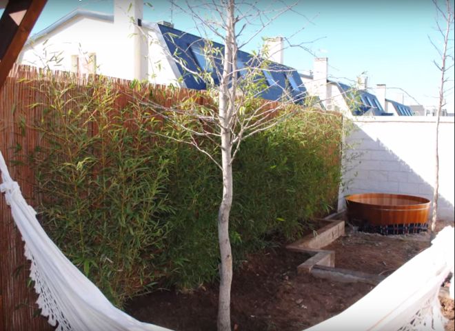 Soluciones para patios traseros y jardines: el paisajismo | SFG