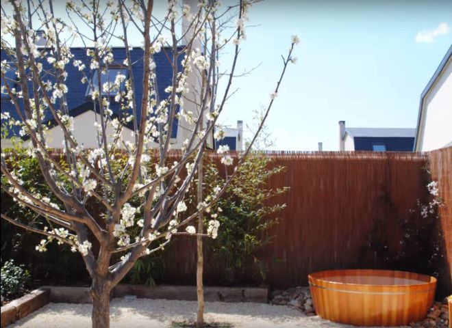 Soluciones para patios traseros y jardines: el paisajismo | SFG