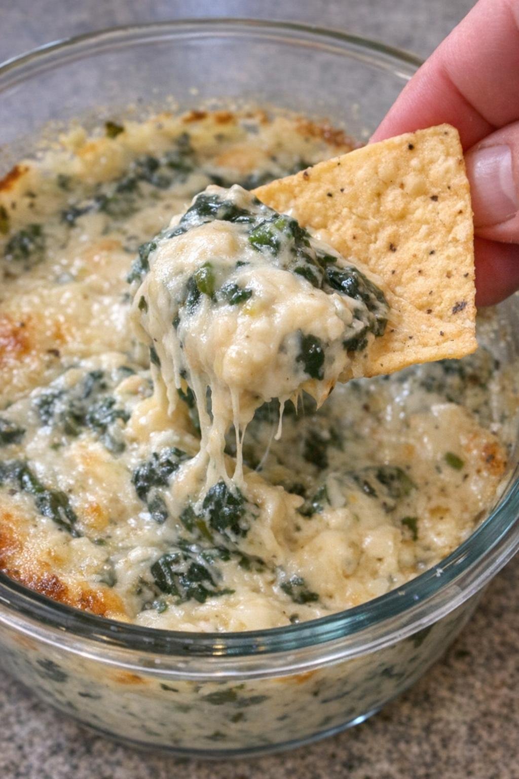 Spinach Sinclair dip in a glass bowl with a tortilla chip scooping it