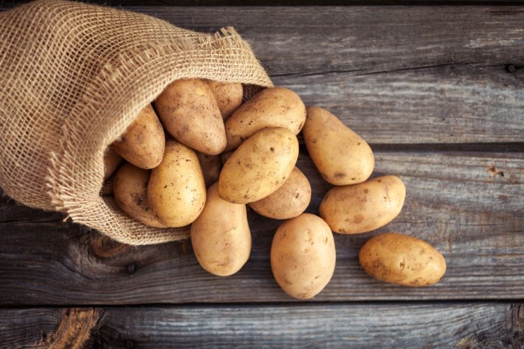 Hate When You Find A Sprouted Potato Here Are 5 Tips You Must Know