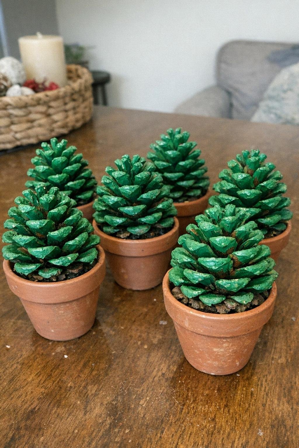 Green-painted pine cones standing in tiny terracotta pots