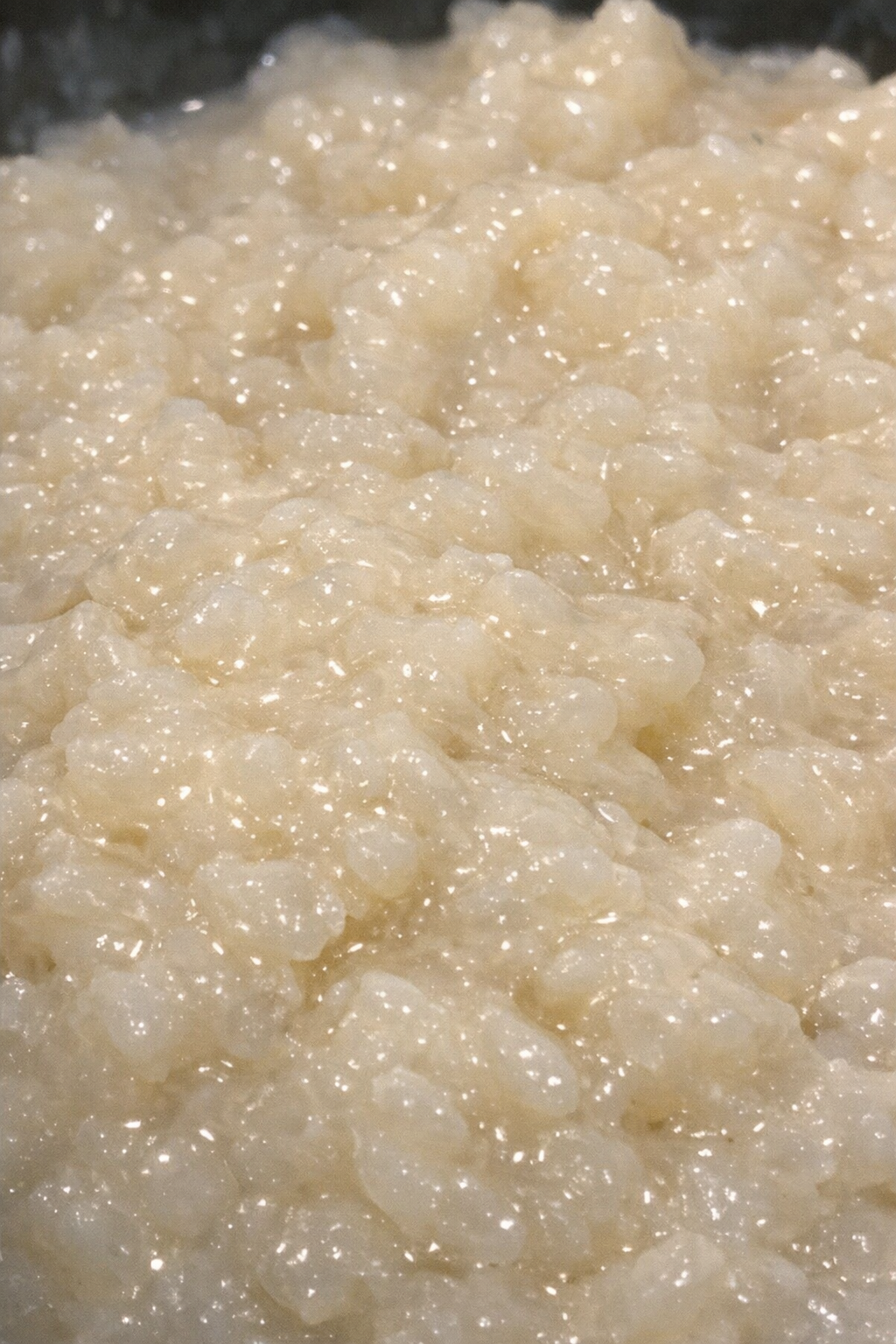 Finished slow cooker rice pudding