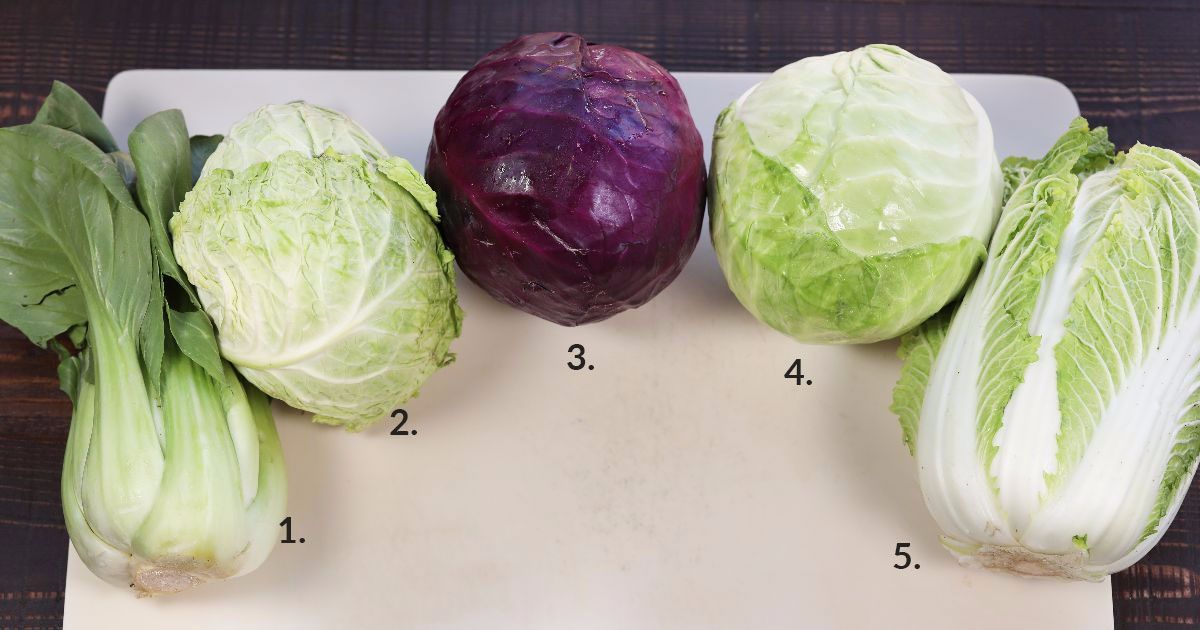 Know how to cook each type of cabbage? Few people know the difference