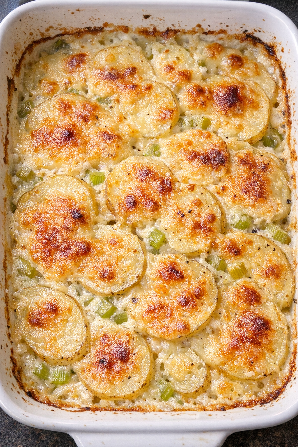 Creamed celery potato bake fresh from the oven