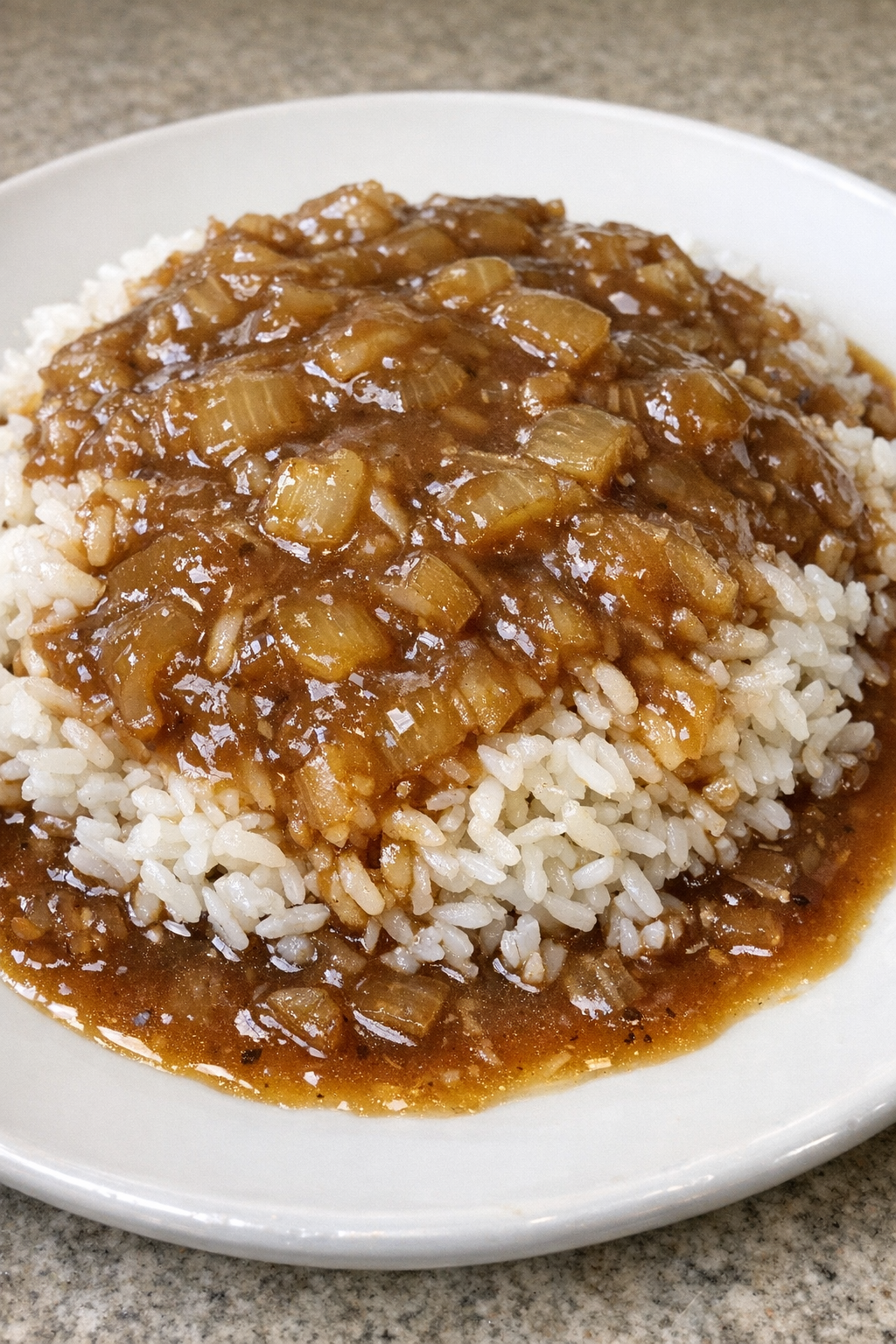 3-ingredient onion gravy rice on a white plate