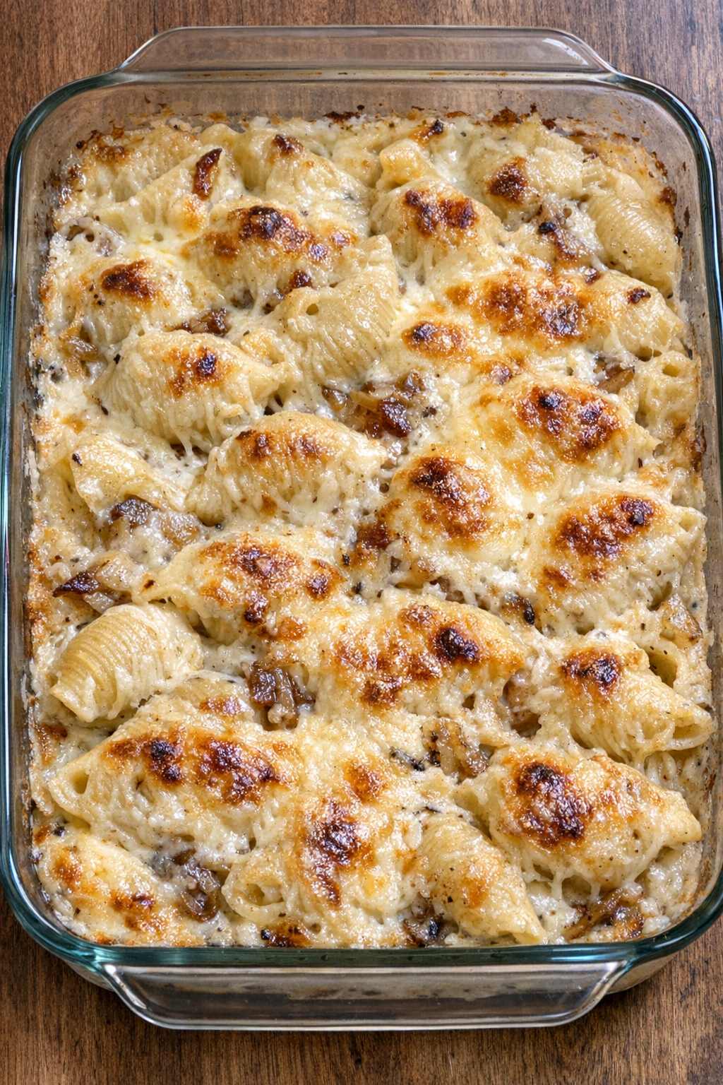 Bubbly creamy pasta shells with caramelized onions and melted cheese