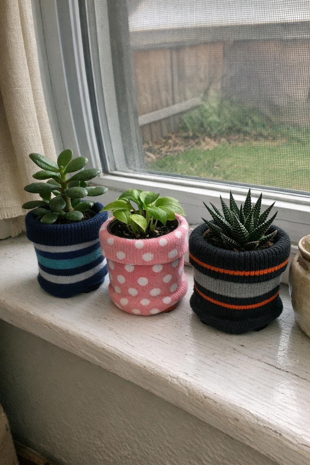 Small nursery pots covered with patterned socks and folded cuffs