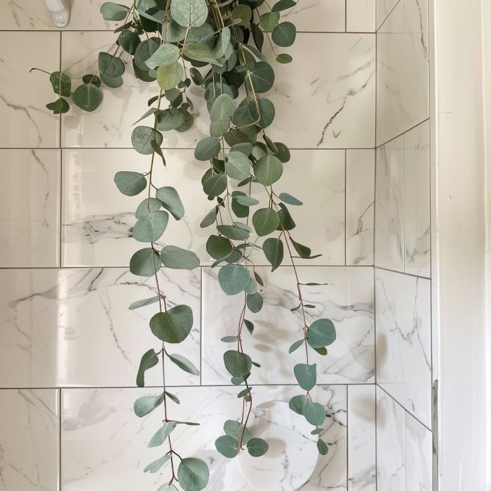 Hang eucalyptus in your shower & discover the astonishing effect (pic ...