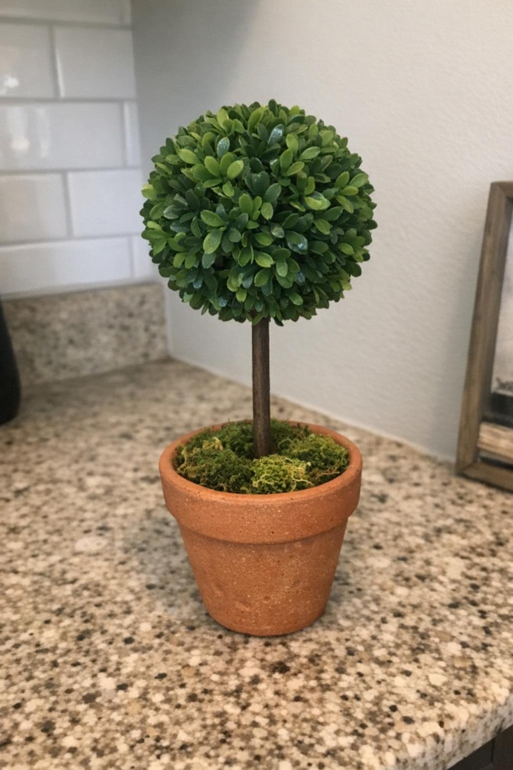 Faux boxwood topiary in a small pot