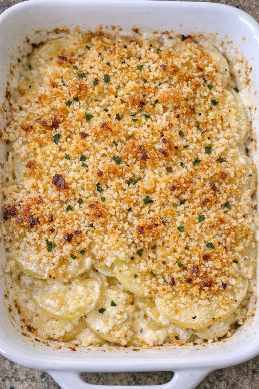 Creamy scalloped potatoes with golden toasted bread crumb topping in a white casserole dish